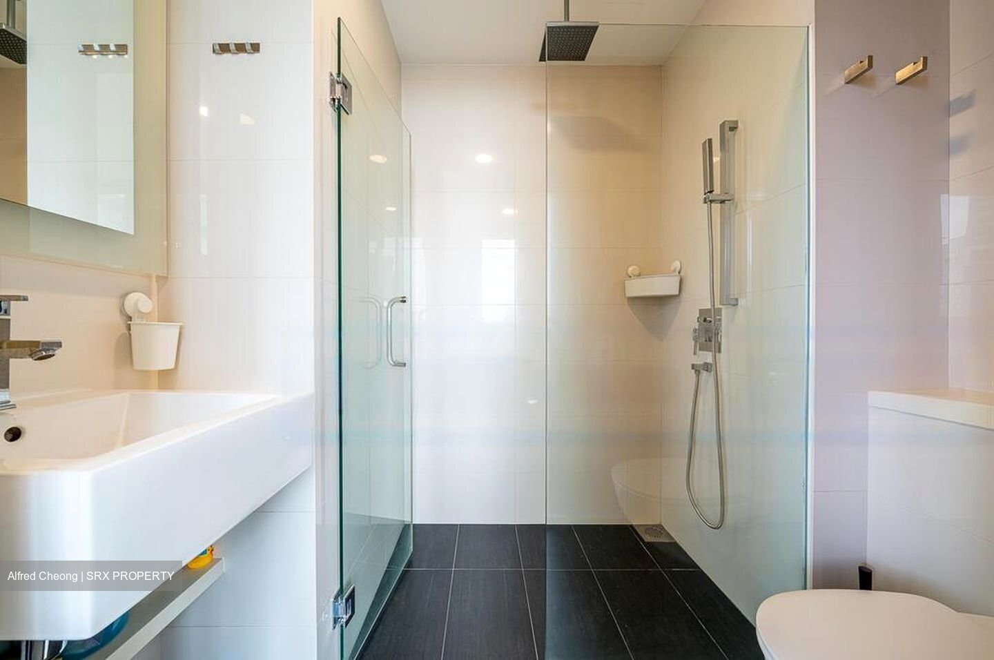 Lumiere (D2), Apartment #455803451